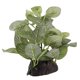 thumbnail image 3 of Planta Artificial para acuario, simulación de plástico, pecera realista, decoración de hierba de Tanque De Agua, pie ovalado, 3 of 12