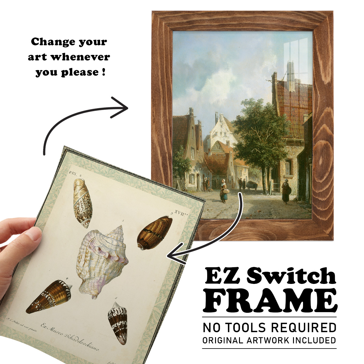 Bookplate Shells IV - Framed Print w/glass - Walnut
