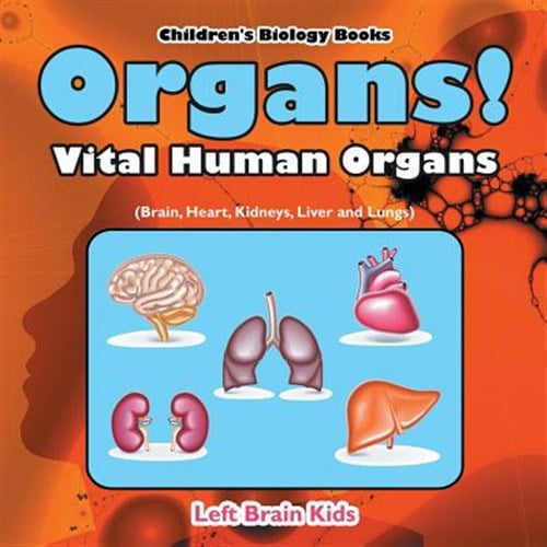 Pre-Owned Organs! Vital Human Organs (Brain, Heart, Kidneys, Liver and Lungs) - Children's Biology Books