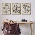 thumbnail image 3 of Stupell Industries Vintage Country Botanicals Plants & Flowers Painting Gold Floater Framed Canvas Art Print Wall Art, 25 x 31, Set of 3, 3 of 10