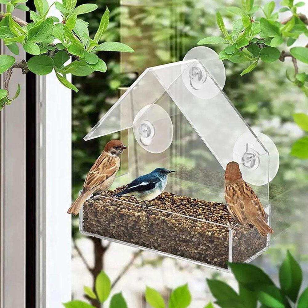 Window Mounted Clear Acrylic Wild Bird Feeder with Suction Cups, 2-in-1 Nest Box & Feeding Station for All Seasons, Outdoor Hanging Accessory for Parrots & Avian Enthusiasts