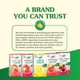 thumbnail image 5 of True Lemon Lemon Lime Lemonade Drink Mix Powder, 10 Calories, No Artificial Sweeteners, 10 Count, 5 of 5