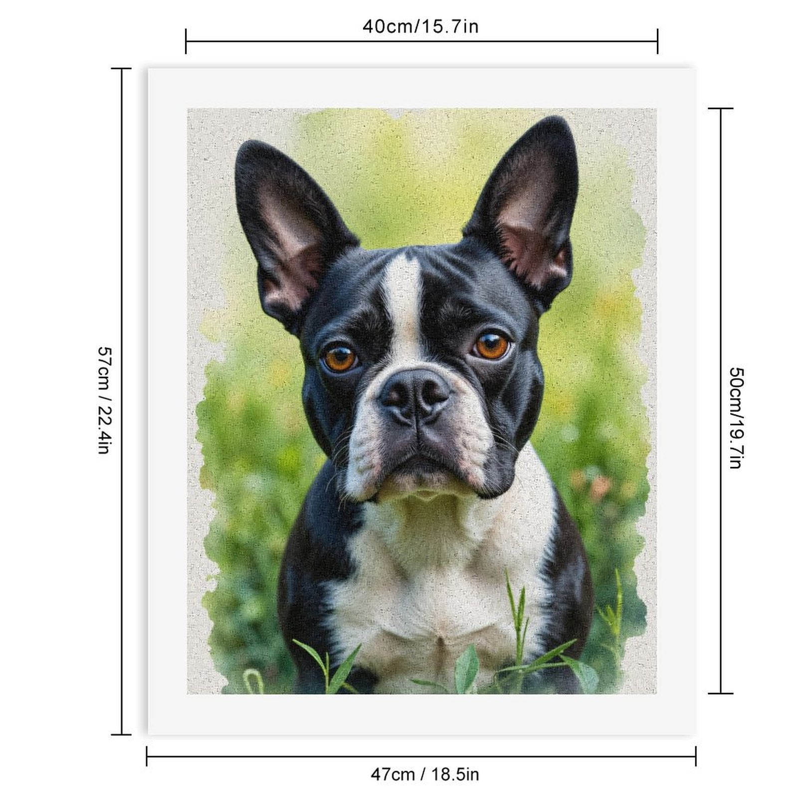Paint By Numbers Kit for Adults Beginner - Boston Terrier Portrait Garden Bliss DIY Canvas Painting Kits for Adults, Frameless Paint By Number for Adults for Home Wall Decor 16x20 Inch