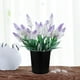 thumbnail image 5 of 10 macetas simples de un galón para flores, de plástico, para jardín, vivero (negras), 5 of 5