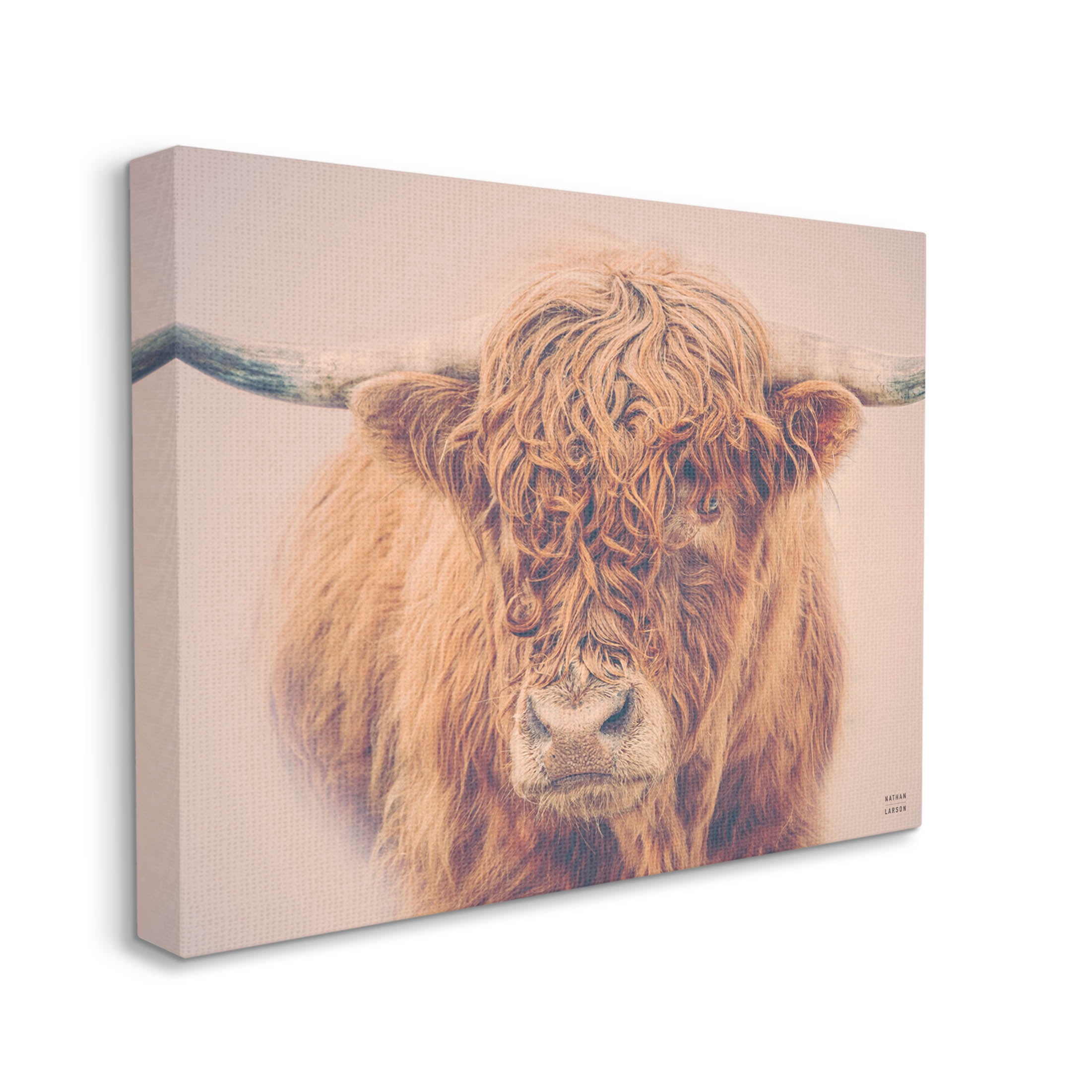 Stupell Industries Highland in Winter Fog Brown Cow Photograph Gallery Wrapped Canvas Print Wall Art, Design by Nathan Larson