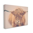 thumbnail image 3 of Stupell Industries Highland in Winter Fog Brown Cow Photograph Gallery Wrapped Canvas Print Wall Art, Design by Nathan Larson, 3 of 7