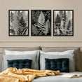 thumbnail image 3 of PixonSign Framed Canvas Print Wall Art Set - Black and White Fern Botanical Posters - Set of 3 Nature Wilderness Tropical Plants Arts Modern Wall Décor Minimal for Living Room - 12"x16" Black, 3 of 5