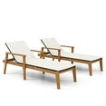 thumbnail image 1 of Gymax Ensemble de 2 Chaises Longues d'Extérieur avec Accoudoirs et Dossier Réglable à 4 Niveaux, 1 of 10