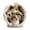 A, variant on XMMSWDLA Pet Memorial Gifts - Dog or Cat Memorial Christmas Angel Photo Ornaments 2024 - Pet Loss Gifts for Dog or Cat - Pet Remembrance Decorative Ornaments for Christmas Tree