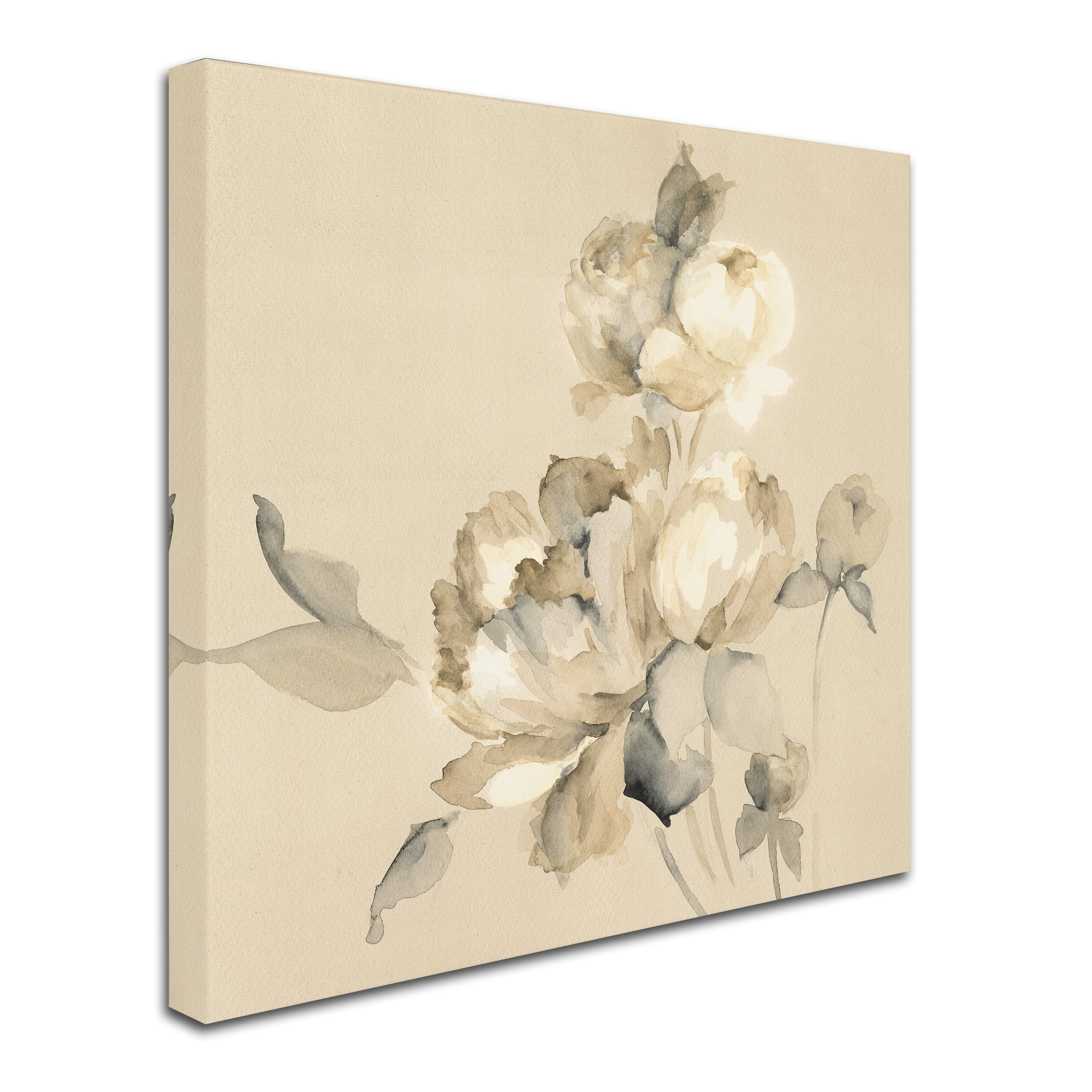 Trademark Fine Art 'Peony Blossoms Crop' Canvas Art by Wild Apple Portfolio
