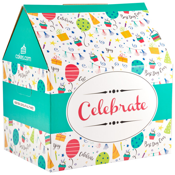 Cake Delivery Box DecoPac Party Cake Box