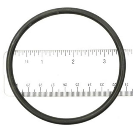 A Waterway O-Ring