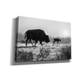 thumbnail image 2 of Epic Graffiti 'Lamar Valley Migration' by Lori Deiter, Canvas Wall Art, 60"x40", 2 of 8