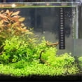 thumbnail image 3 of 10pcs Aquarium Thermometer Sticker 10-40 Celsius Stick On Thermometer Strip, 3 of 8