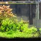 thumbnail image 2 of 10 pegatinas termómetro para acuario, rango de 10 a 40 grados Celsius., 2 of 7