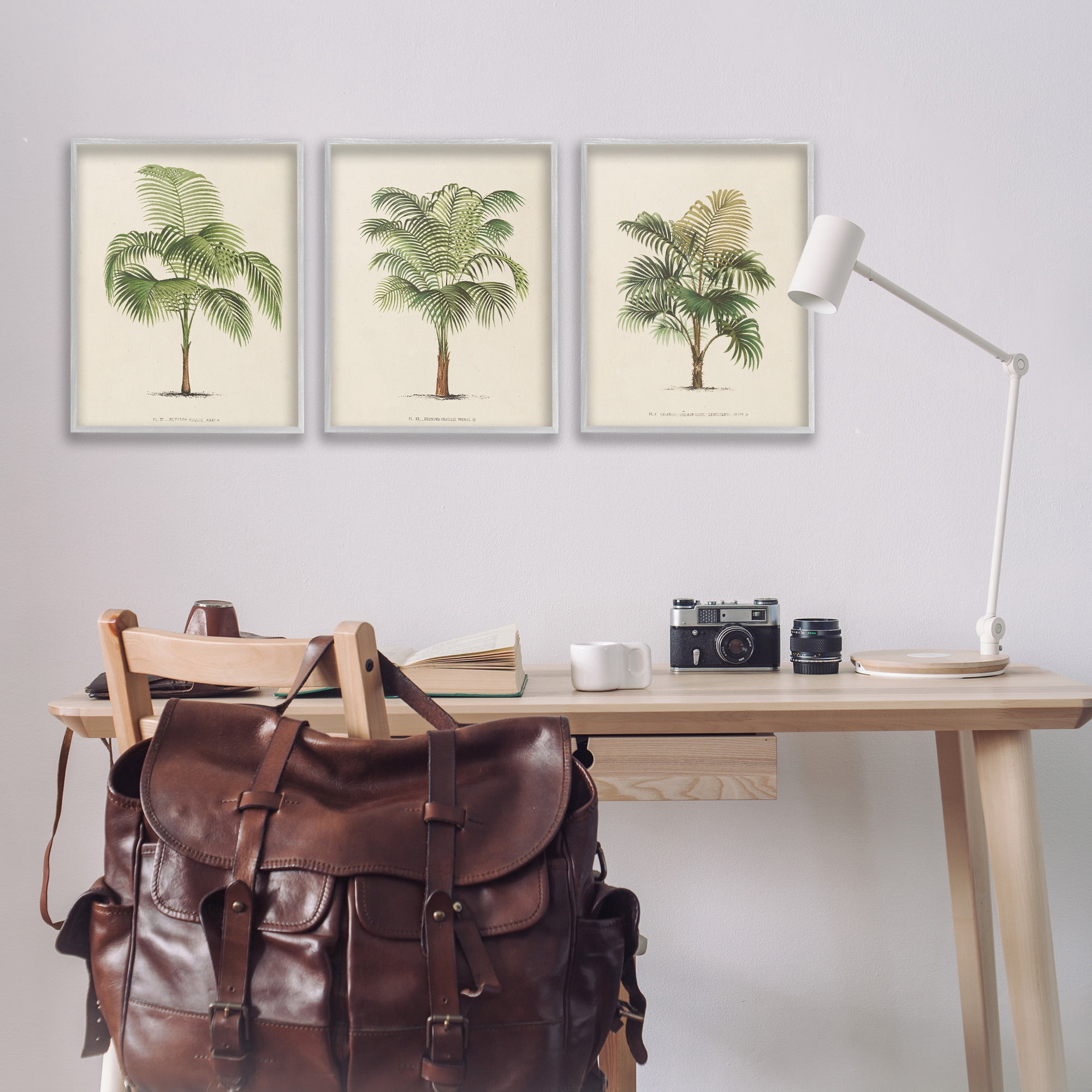 Stupell Industries Les Palmiers Botanical Trio Botanical & Floral Painting Gray Framed Art Print Wall Art, 16 x 20, Set of 3