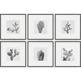 thumbnail image 2 of Cactus Variety Ii He x aptych, Art Prints, 54.00" x 1.50", 2 of 6