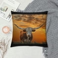 thumbnail image 2 of Orinice Cow with Long Horns at Sunset Graphic Decorative Pillow Cover for Home Couch Living Room Sofa - Aesthetic Decor 1PC 18x18in, 2 of 5