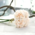 thumbnail image 1 of Manojo de peonía artificial Seda Flores artificiales Real-like Wedding Home Decor GeweYeeli JJ5091-03, 1 of 1