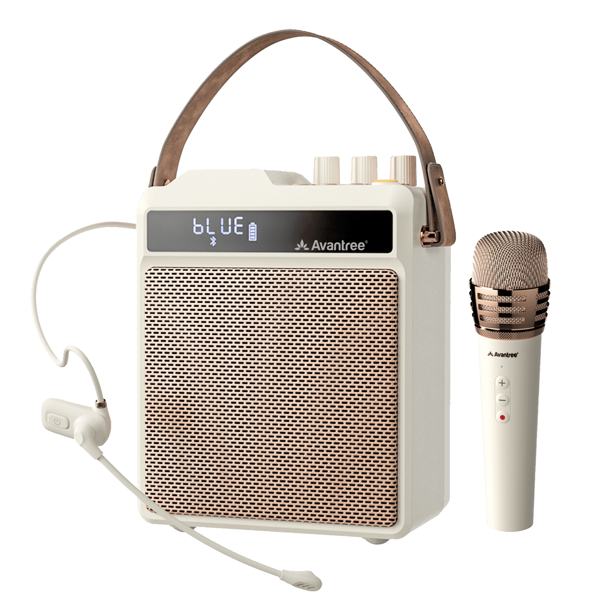 Mr DJ 2-Way Powered Portable Speaker with Microphone, Multicolor