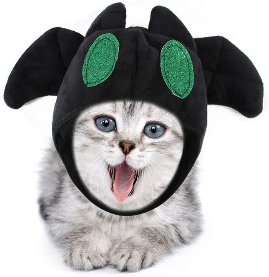 cat pineapple costume