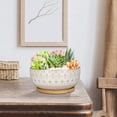 thumbnail image 6 of Ordivic 8 Inch White Ceramic Succulent Planter with Drainage Hole and Bamboo Tray – Round Shallow Bonsai Pot for Indoor Plants, 6 of 7