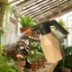 thumbnail image 3 of Botella Pulverizadora Eléctrica, Regadera Automática Para Regar El Jardín, Lavado De Coches, Color Rosa, 3 of 8