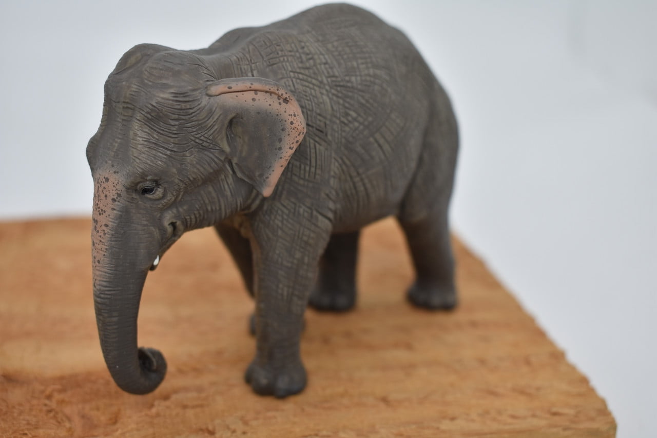 Deinotherium, Ancient Elephant, Museum Quality Plastic Replica 7 M084 B605