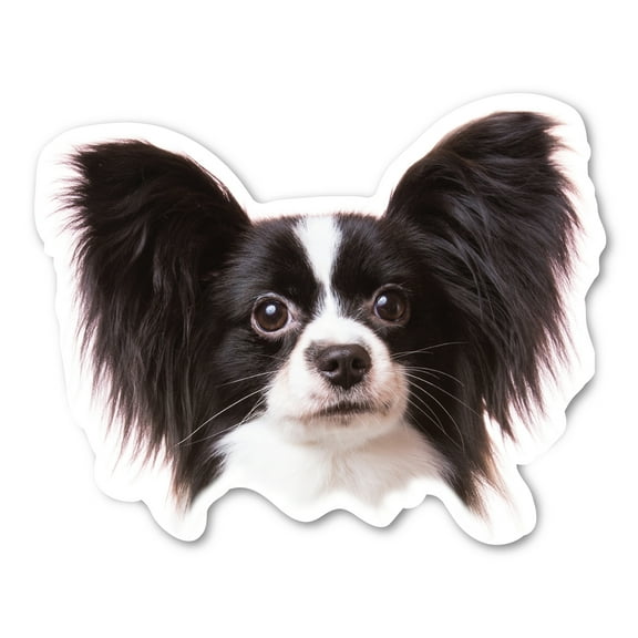 (Black) Papillon Dog Magnet