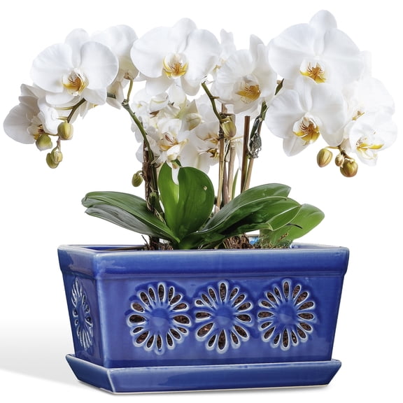 EFISPSS 10 Inch Blue Floral Ceramic Orchid Planter with Cutouts, Rectangular Window Box Slotted Pot with Saucer for Better Root Health, Decorative Indoor Herb and Flower Planter