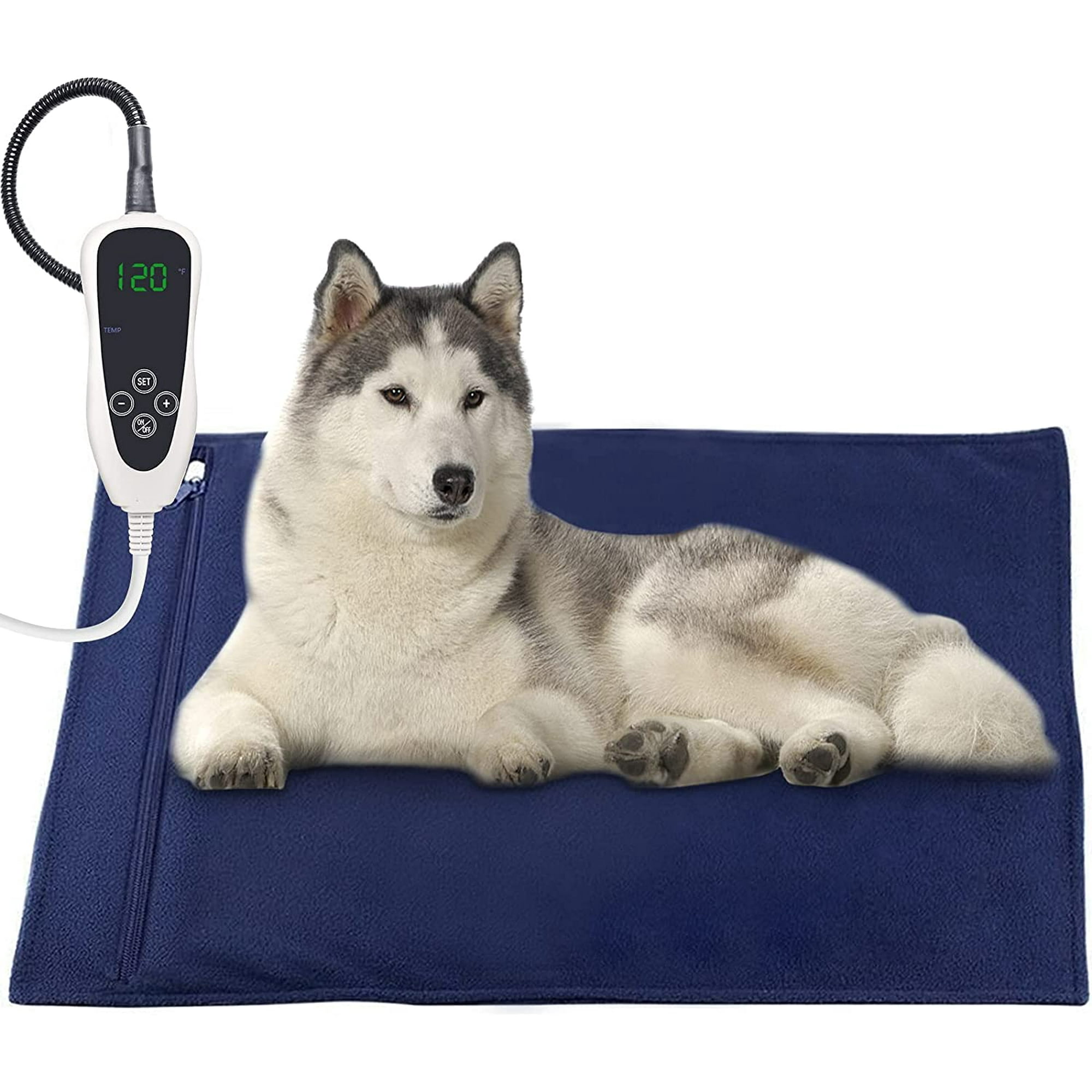 Are Electric Heated Dog Beds Safe