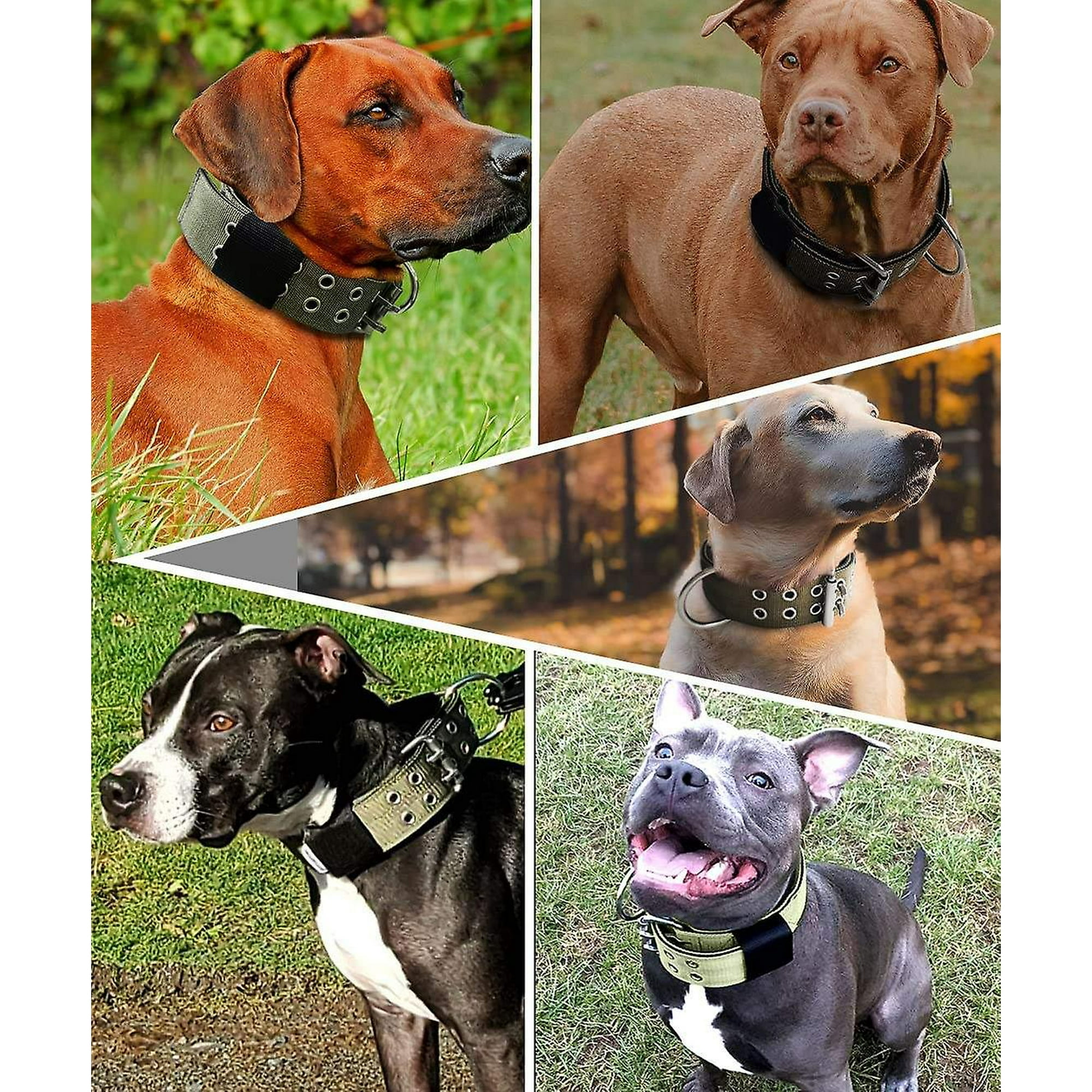 Large breed dog collars hot sale