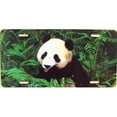 thumbnail image 1 of LP - 1187 Panda Bear License Plate - AB027, 1 of 1