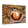 thumbnail image 2 of Scallop Seafood Fresh Shellfish Canvas Poster Bedroom Decor Sports Landscape Office Room Decor Gift,Frame-style,20x30inch(50x75cm), 2 of 8