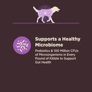 Wellness CORE Digestive Health Age Advantage Senior Dry Dog Food, Wholesome Grain Kibble, Sensitive Stomach, Natural, High Protein, Chicken and Brown Rice Recipe, 24 lb Bag