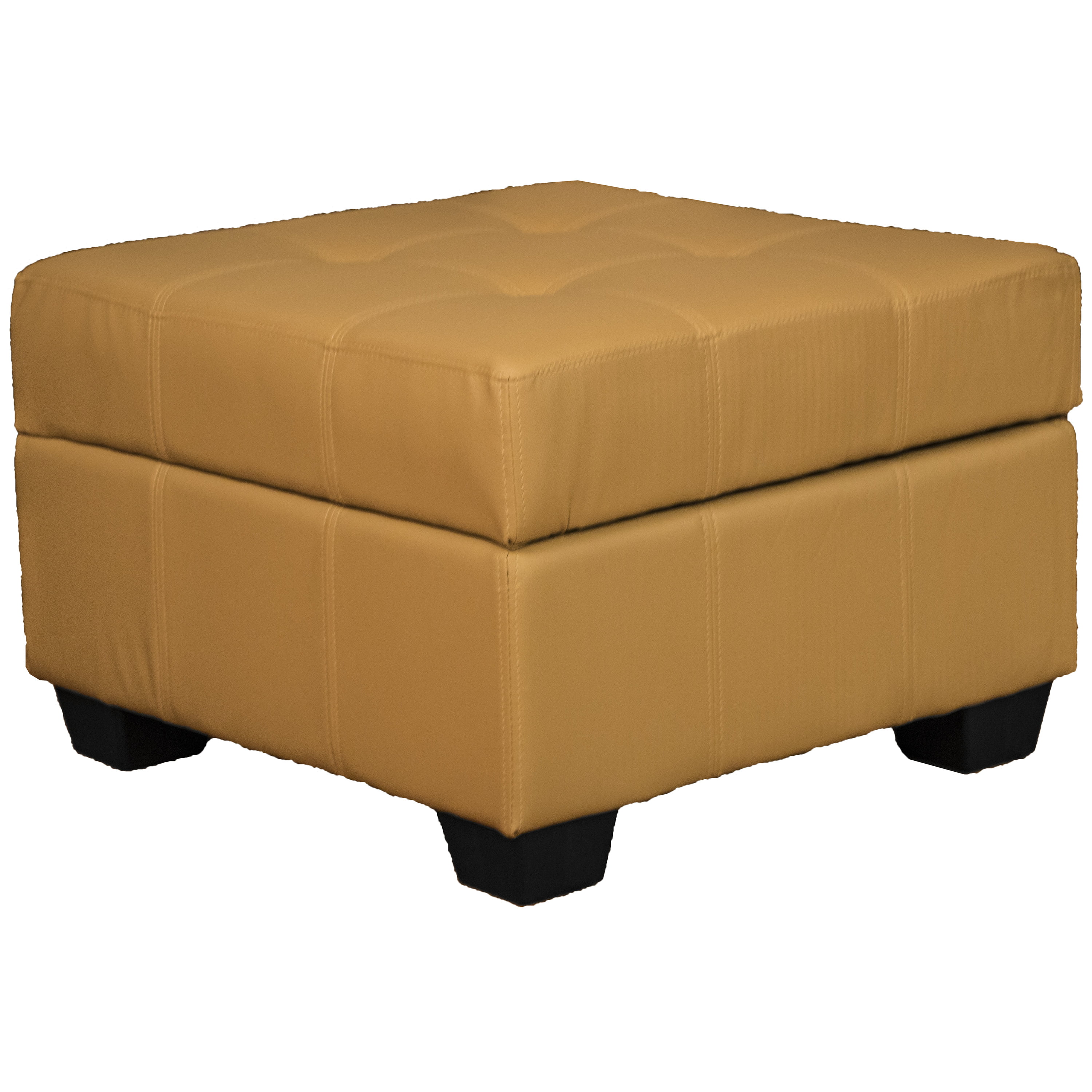 Timeless 24 Inch Square Tufted Padded Hinged Storage