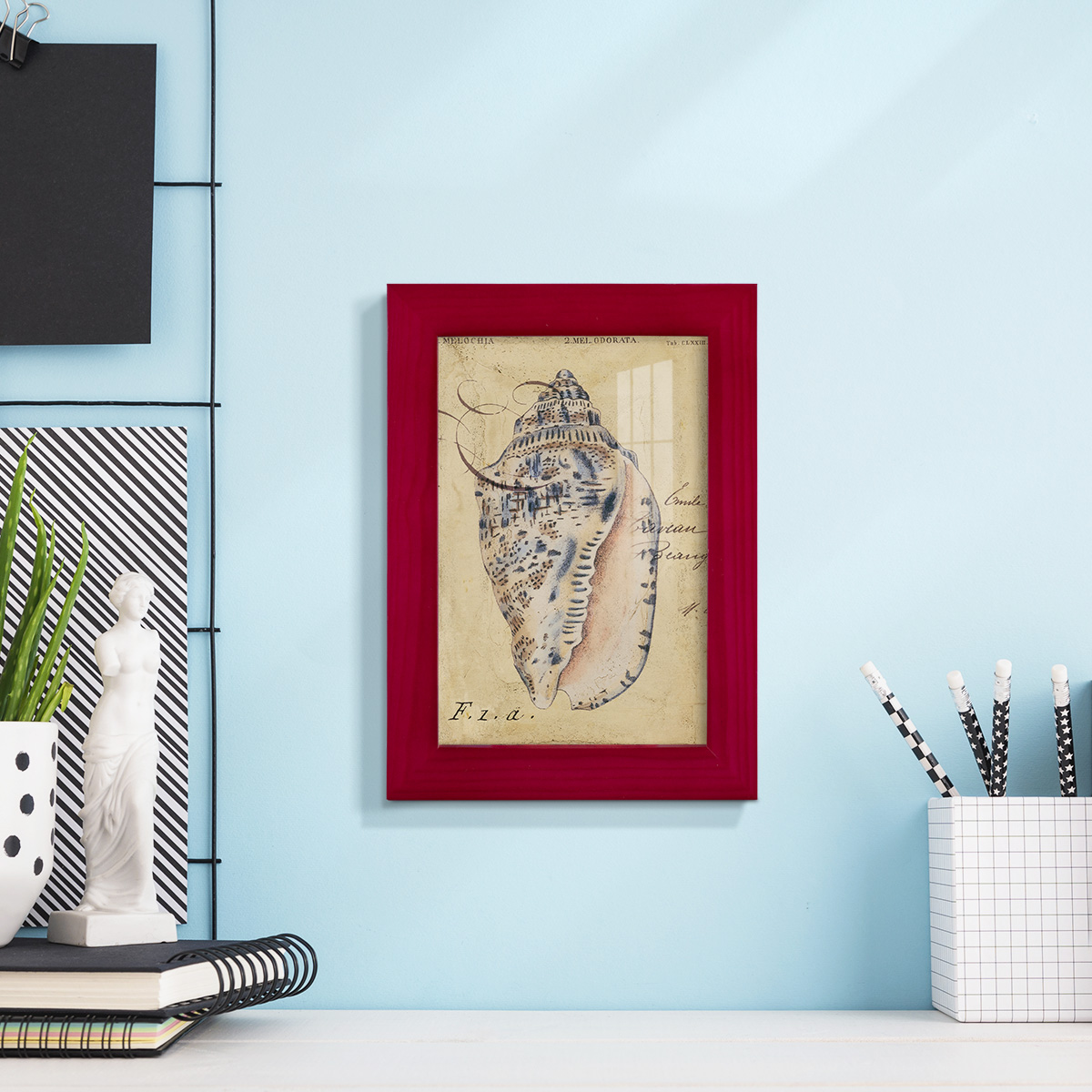 Seashell Ephemera I - Framed Print w/glass - Cherry Red