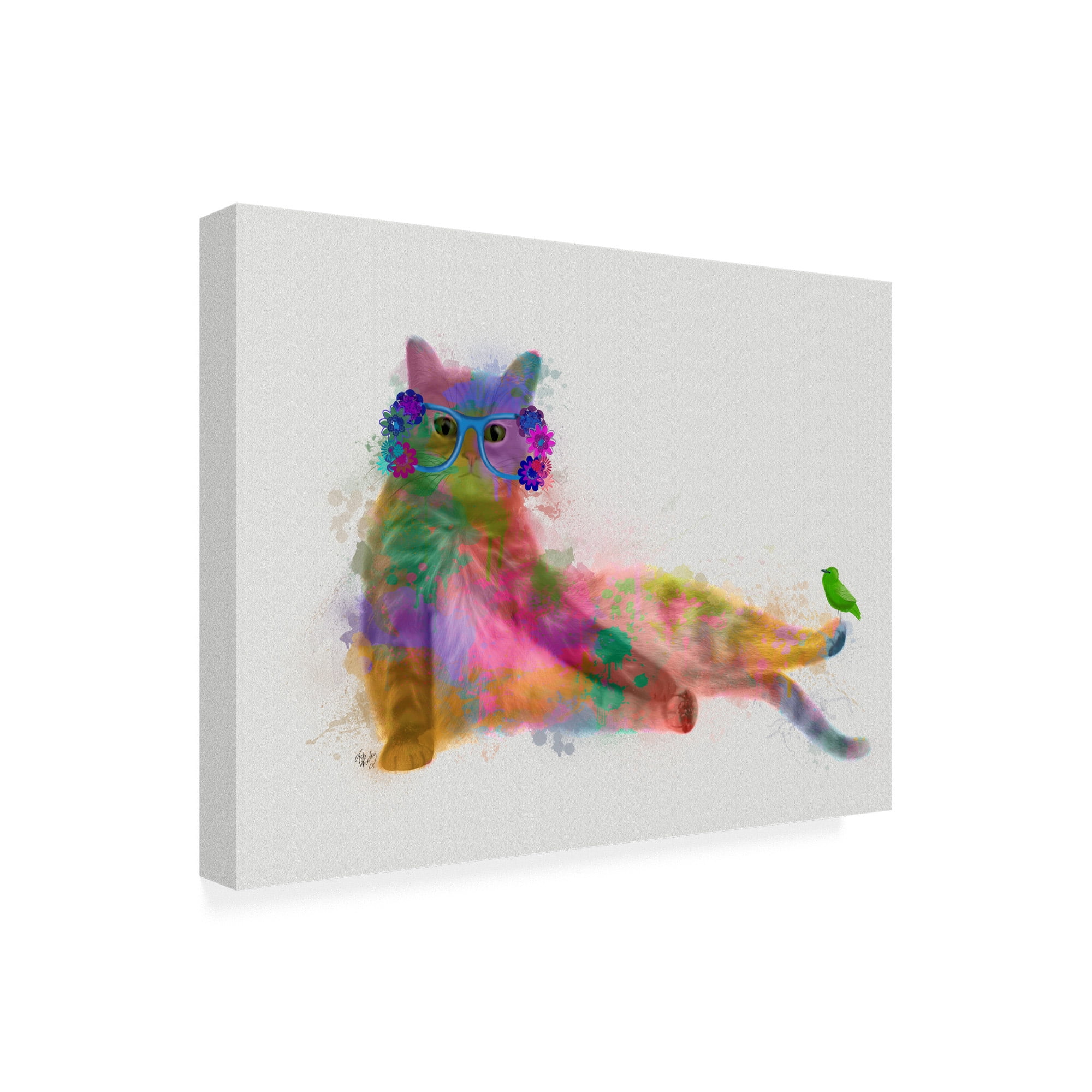 Trademark Fine Art 'Cat Rainbow Splash 10' Canvas Art by Fab Funky