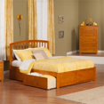 thumbnail image 2 of Leo & Lacey Queen Storage Platform Bed in Caramel, 2 of 4