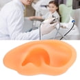 thumbnail image 4 of Modèle d'Oreille, Moule d'Affichage d'Oreille Imperméable pour l'Hôpital Gauche, 4 of 8
