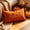 Orange, variant on Orangide Fall Decor Warm Embroidered Cushion Cover Hello Fall Pillow Case for Thanksgiving Farmhouse Autumn Harvest Decorative Throw Pillow Cover for Sofa Couch Bed