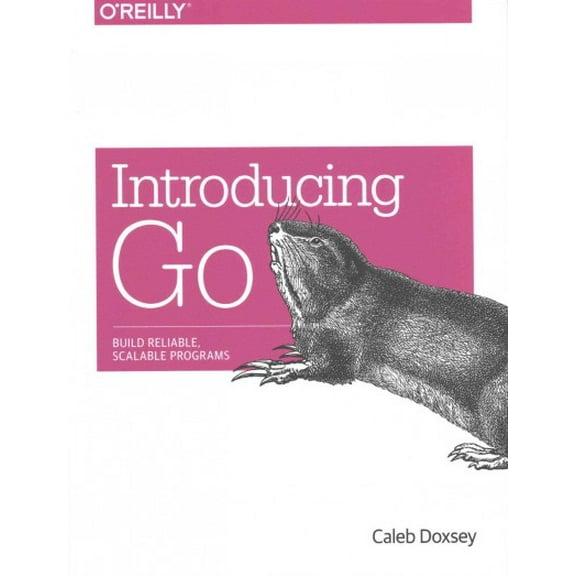 Introducing Go: Build Reliable, Scalable Programs (Paperback)