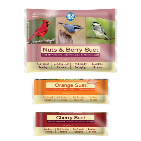 Blue Seal Berry Blend Suet Cakes for Wild Birds - 11oz Suet Feeder (Variety Pack of 6) - New