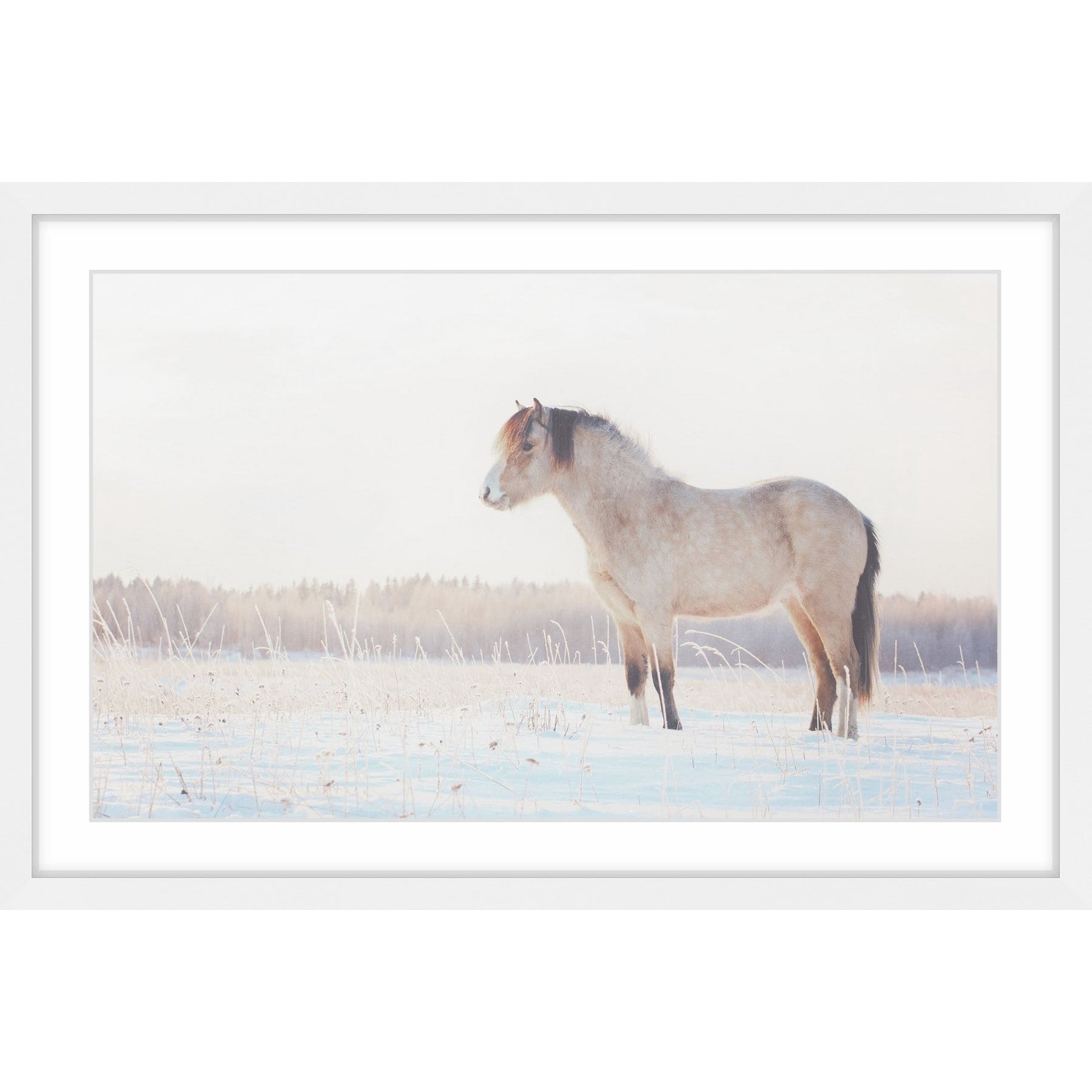 Marmont Hill "Horse Stands Still" Framed Painting Print