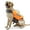 Orange, variant on Dog Life Jacket, Reflective Dog Safety Vest, Adjustable Pet Life Ring with Buoyancy and Rescue Handle, Tear Resistant-chartreuse