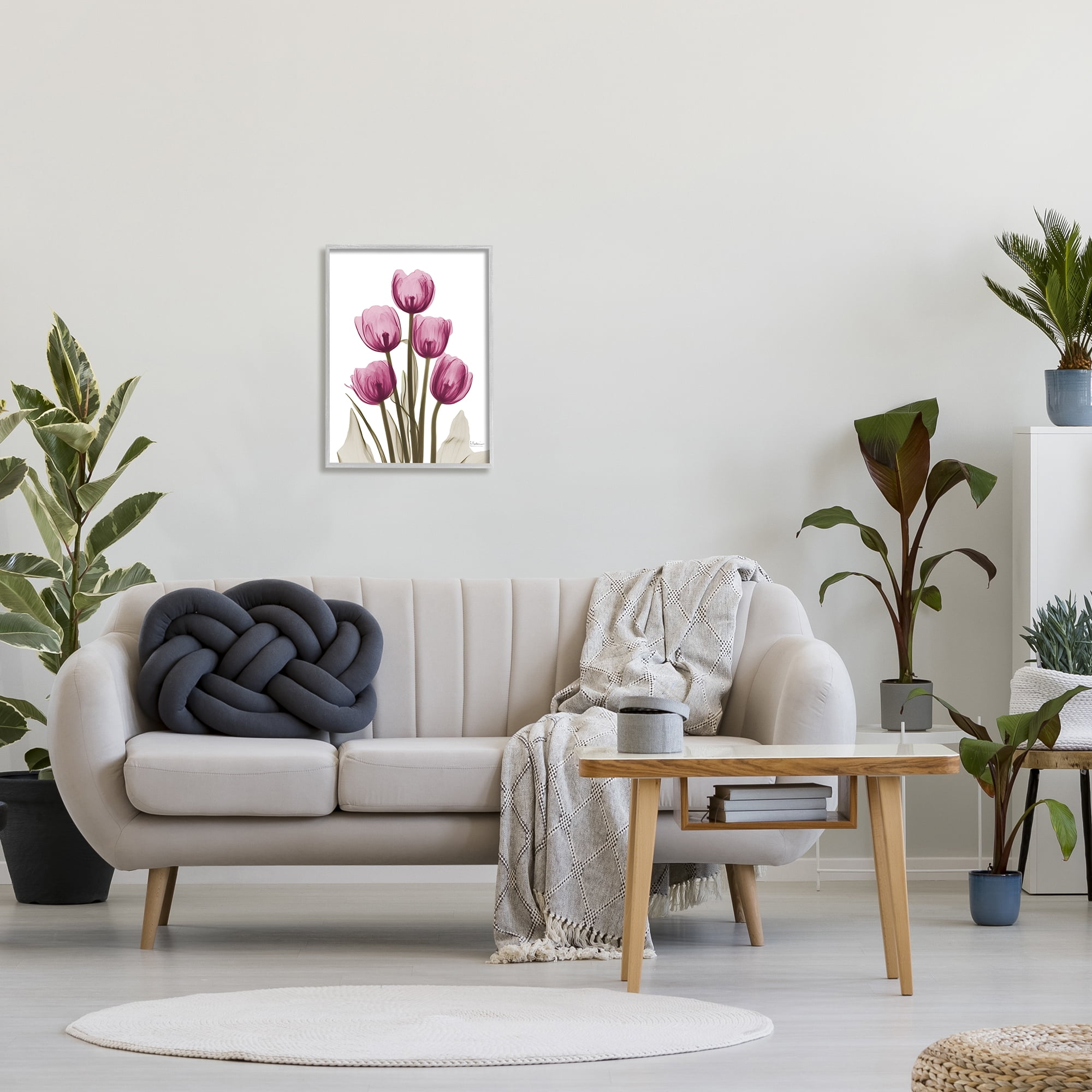 Stupell Industries Pink X-Ray Tulips Botanical & Floral Photography Gray Framed Art Print Wall Art, 16 x 20