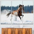 thumbnail image 1 of Cheval Courant en Hiver, 1 of 1