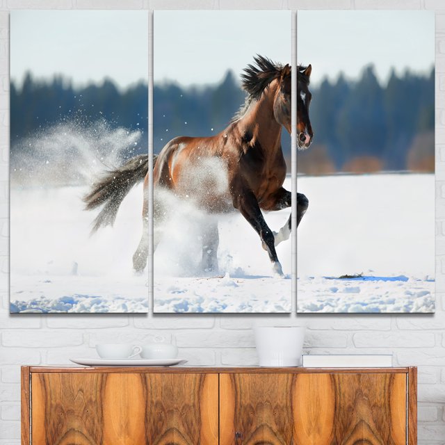 Cheval Courant en Hiver