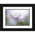 thumbnail image 1 of Disher, Mandy 24x17 Black Ornate Wood Framed with Double Matting Museum Art Print Titled - Nemorosa, 1 of 4