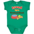 thumbnail image 3 of Inktastic Newfoundland Dog Lover Boys or Girls Baby Bodysuit, 3 of 5